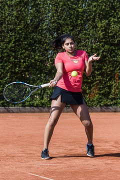 Bild 387 - VL Marienthaler THC - THC von Horn und Hamm